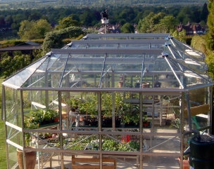 greenhouse glass